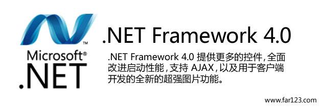 NET Framework v4.0.30319
